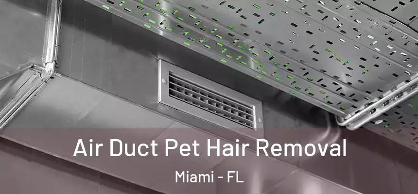 Air Duct Pet Hair Removal Miami - FL