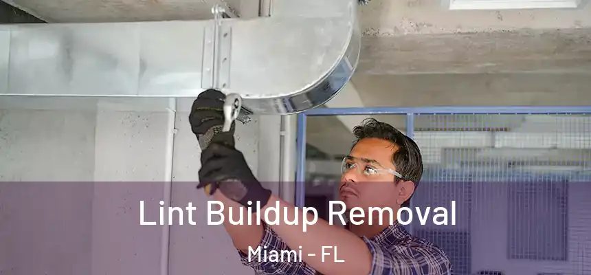 Lint Buildup Removal Miami - FL