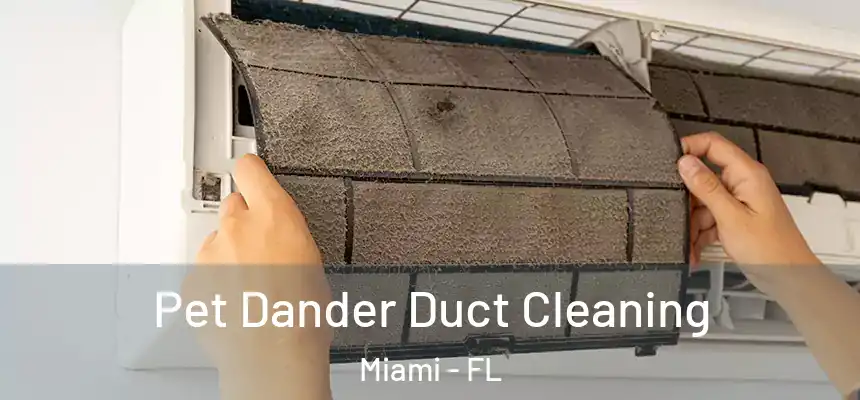 Pet Dander Duct Cleaning Miami - FL