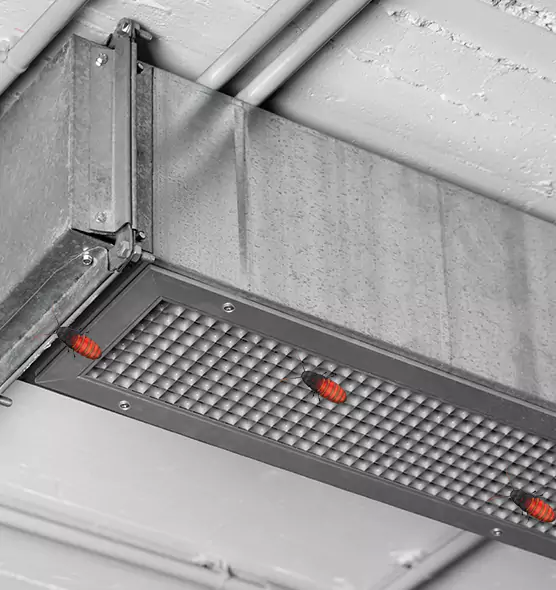 Affordable Insect Removal from Air Ducts in Miami, FL