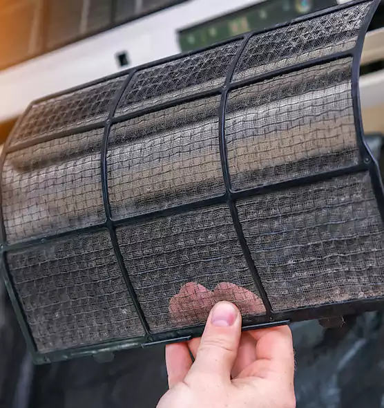 About Pet Dander Duct Cleaning in Miami, FL